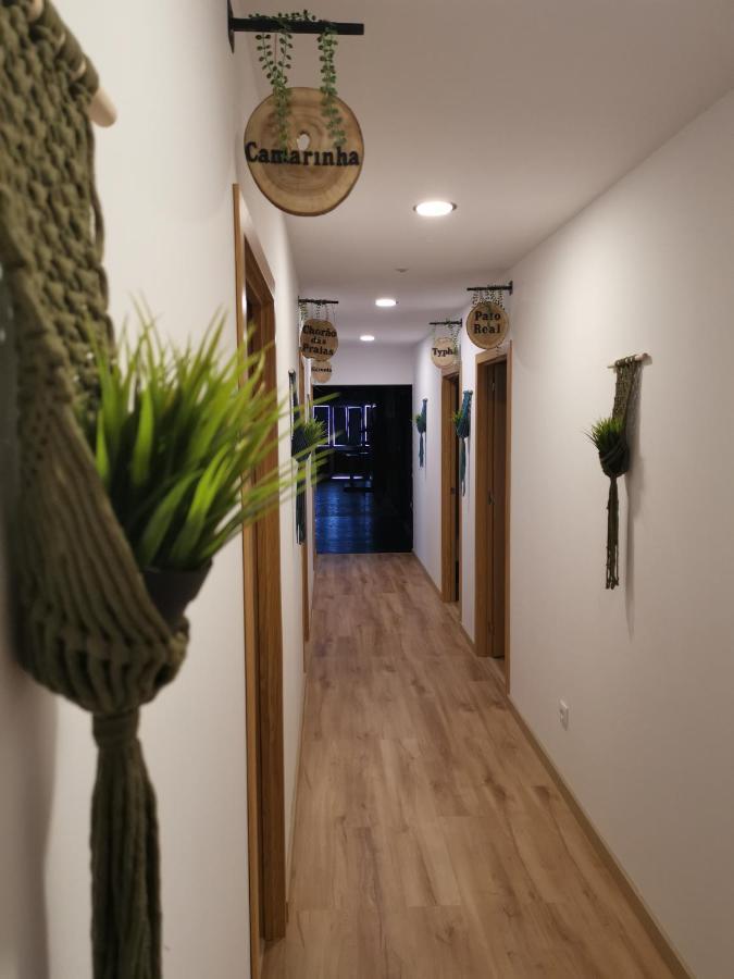 Atlantic Nature Beach House Poco da Cruz Экстерьер фото